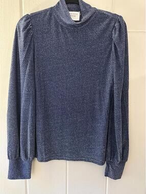 Hyacinth House Tuckernuck Shimmer Blue Lightweight Long Sleeve Blouse Size Large